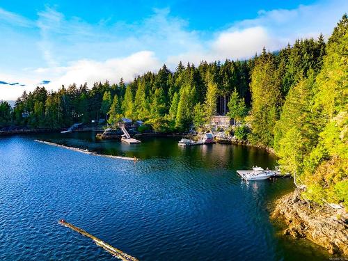 Lot P Cheeyah Island, Port Alberni, BC 