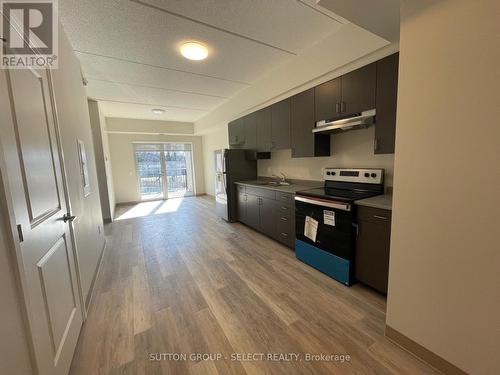 502 - 99 Pond Mills Road, London, ON - Indoor Photo Showing Kitchen