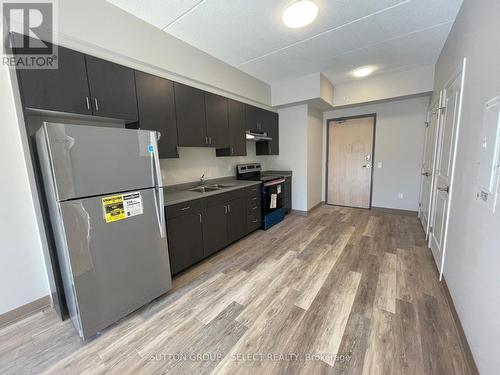 502 - 99 Pond Mills Road, London, ON - Indoor Photo Showing Kitchen With Double Sink