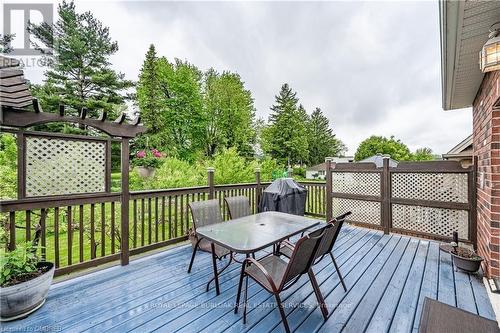 Main - 217 Donnici Drive, Hamilton (Falkirk), ON - Outdoor With Deck Patio Veranda With Exterior