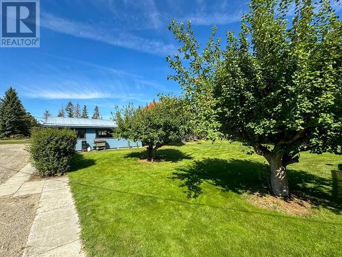 4755 Baillie Grohman Avenue, Canal Flats, BC - Outdoor