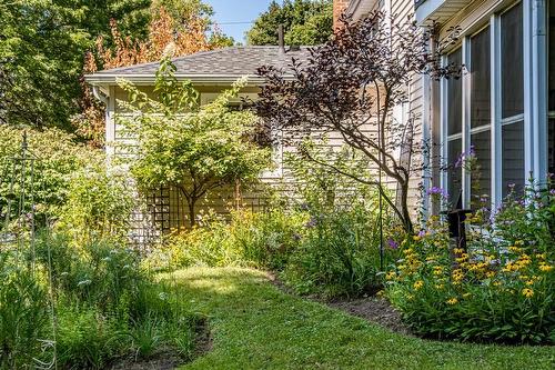 5 Rowanwood Avenue, Hamilton, ON - Outdoor