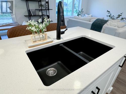 57 Silverleaf Path, St. Thomas, ON - Indoor Photo Showing Kitchen With Double Sink