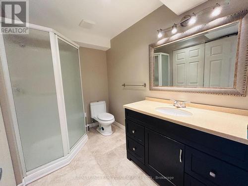 2022 Elmgrove Road, Oakville, ON - Indoor Photo Showing Bathroom