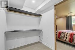 Lower level bedroom with walk in closet and en-suite - 