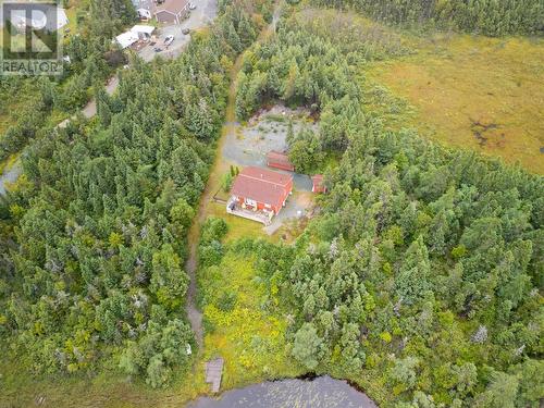 3 Track Road, Cape Broyle, NL - Outdoor With View