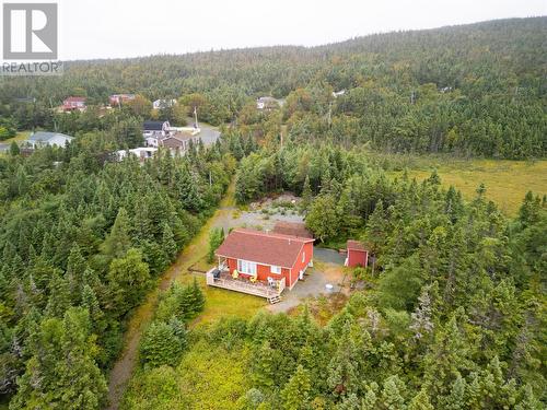 3 Track Road, Cape Broyle, NL - Outdoor With View