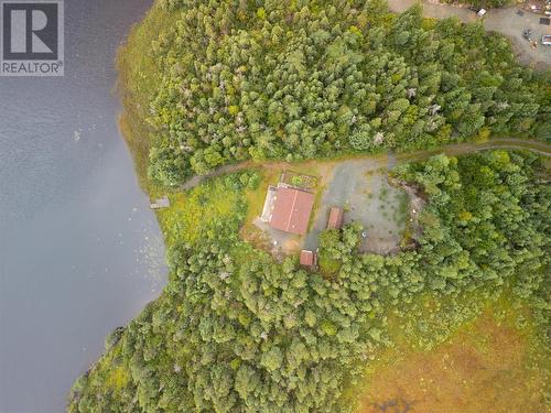 3 Track Road, Cape Broyle, NL - Outdoor With View