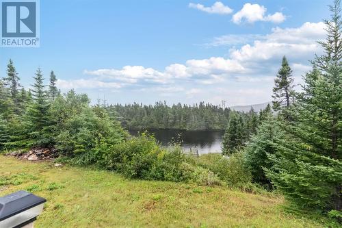 3 Track Road, Cape Broyle, NL - Outdoor With View