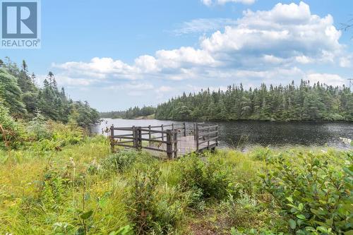 3 Track Road, Cape Broyle, NL - Outdoor With View