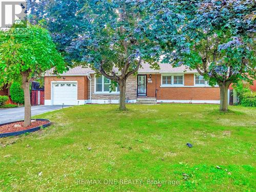 19 Orlanda Road, Hamilton, ON - Outdoor