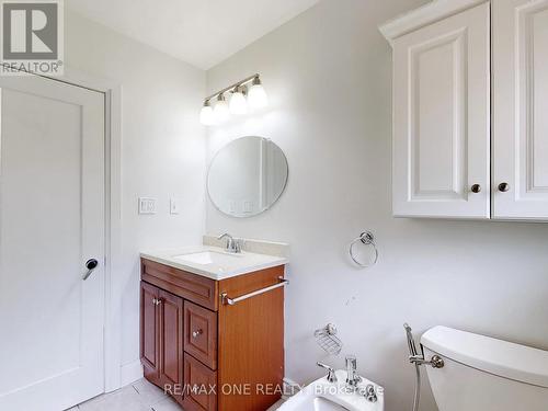 19 Orlanda Road, Hamilton, ON - Indoor Photo Showing Bathroom