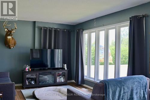 3935 10Th Line E, Trent Hills (Campbellford), ON - Indoor Photo Showing Living Room