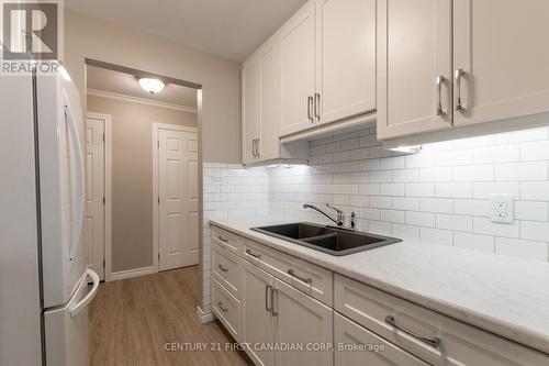 213 - 440 Wellington Street, St. Thomas, ON - Indoor Photo Showing Kitchen With Double Sink With Upgraded Kitchen