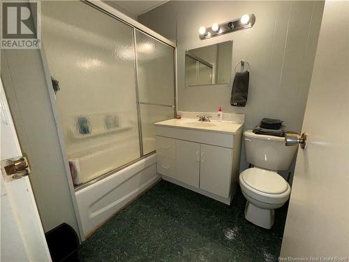 95 Diamond Drive, Minto, NB - Indoor Photo Showing Bathroom