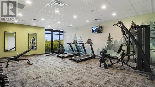 1900 Concession Rd 6 Unit# 302, Lasalle, ON - Indoor Photo Showing Gym Room