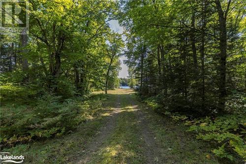 46 Taylor Lake Road, Whitestone, ON - Outdoor