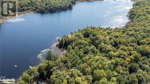 46 Taylor Lake Road, Whitestone, ON - Outdoor With Body Of Water With View