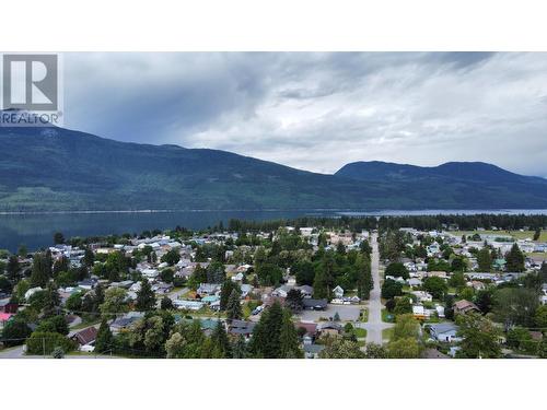 209 1St Avenue, Nakusp, BC - Outdoor With View