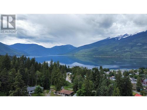 209 1St Avenue, Nakusp, BC - Outdoor With View