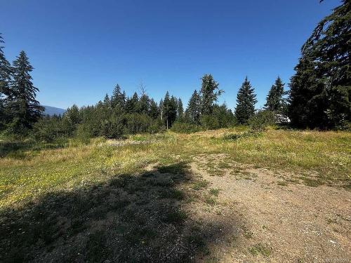 7997 Island Hwy North, Black Creek, BC 