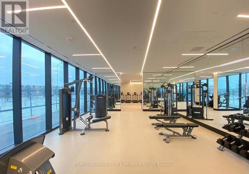 304 - 30 Tretti Way, Toronto (Clanton Park), ON - Indoor Photo Showing Gym Room