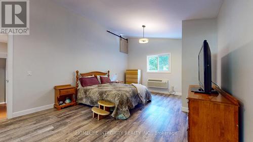 9051 Boyne River Road, Adjala-Tosorontio, ON - Indoor Photo Showing Bedroom