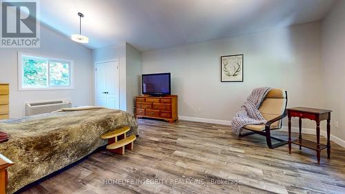 9051 Boyne River Road, Adjala-Tosorontio, ON - Indoor Photo Showing Bedroom