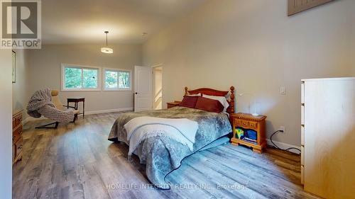 9051 Boyne River Road, Adjala-Tosorontio, ON - Indoor Photo Showing Bedroom