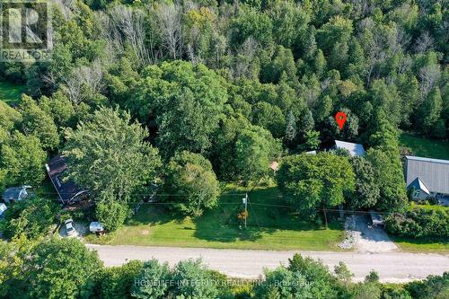 9051 Boyne River Road, Adjala-Tosorontio, ON - Outdoor