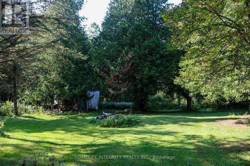 9051 Boyne River Road, Adjala-Tosorontio, ON - Outdoor