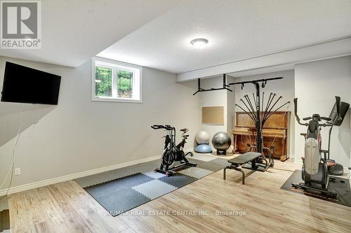 209 Hume Road, Puslinch, ON - Indoor Photo Showing Gym Room