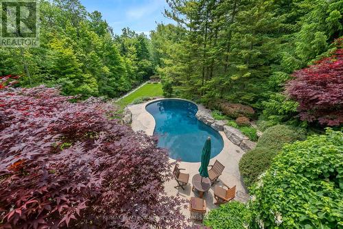 65 Joseph Street, Markham, ON - Outdoor With In Ground Pool