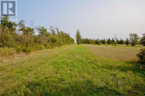 Lot 95-1 Route 960, Cape Spear, NB 