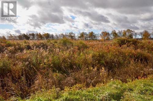 Lot Westcock Marsh, Westcock, NB 