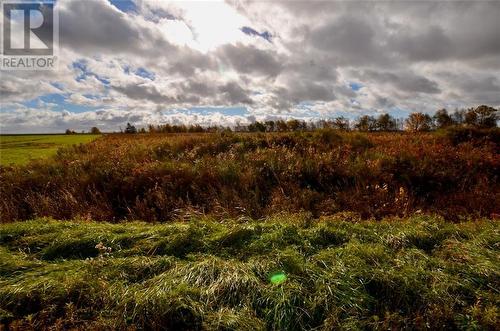 Lot Westcock Marsh, Westcock, NB 