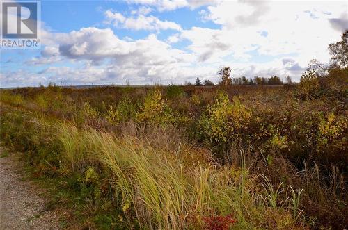 Lot Westcock Marsh, Westcock, NB 