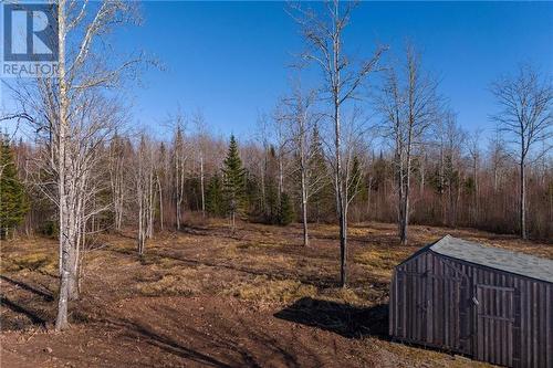 Lot 17-1 Collins Lake Road, Shemogue, NB 