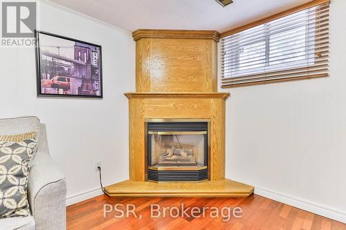 16 Colmar Place, Hamilton (Dundas), ON - Indoor With Fireplace