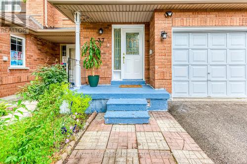 37 - 35 Malta Avenue, Brampton, ON - Outdoor