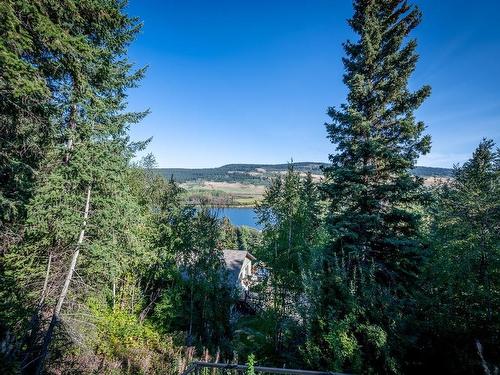 3381 Mcgregor Road, Kamloops, BC - Outdoor With View