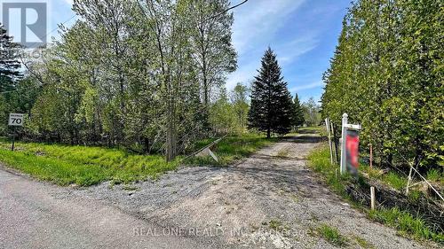 4778 Holborn Road, East Gwillimbury (Mt Albert), ON - Outdoor