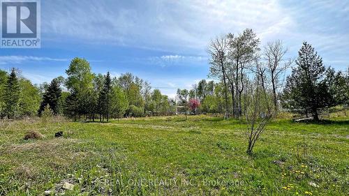 4778 Holborn Road, East Gwillimbury (Mt Albert), ON - Outdoor With View