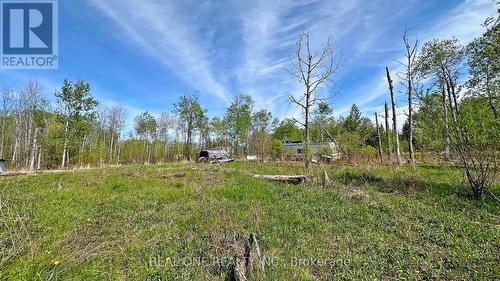 4778 Holborn Road, East Gwillimbury, ON - Outdoor With View