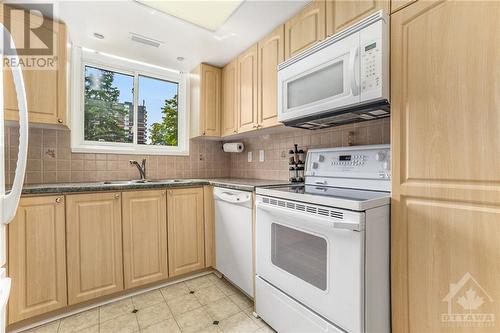 1705 Playfair Drive S Unit#109, Ottawa, ON - Indoor Photo Showing Kitchen With Double Sink