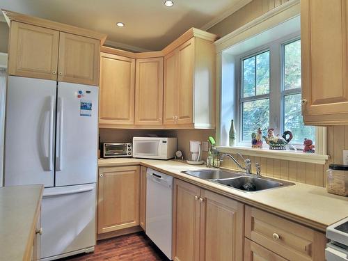 Kitchen - 131 Rg De L'Église S., Saint-Marcel-De-Richelieu, QC - Indoor Photo Showing Kitchen With Double Sink