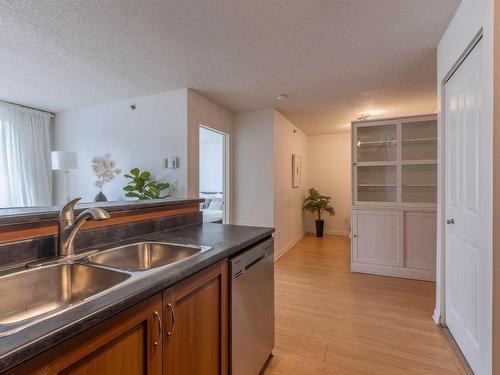 Kitchen - 305-1200 Rue St-Jacques, Montréal (Ville-Marie), QC - Indoor Photo Showing Kitchen With Double Sink