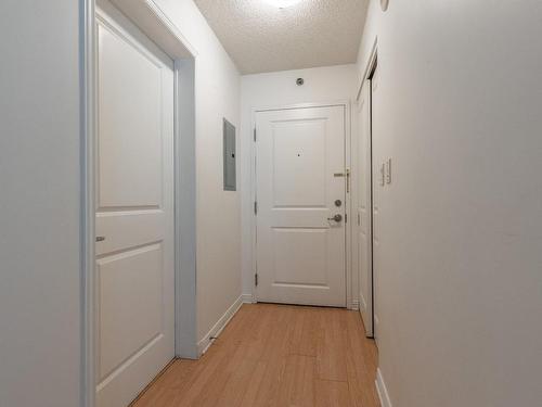 Hall - 305-1200 Rue St-Jacques, Montréal (Ville-Marie), QC - Indoor Photo Showing Other Room