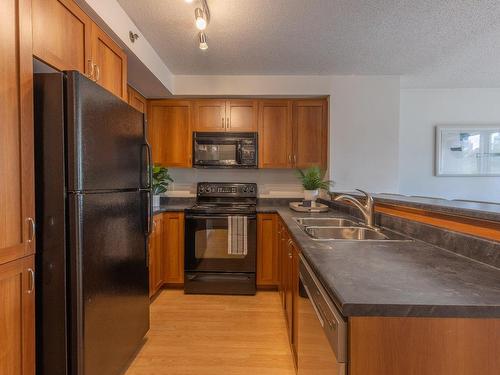 Kitchen - 305-1200 Rue St-Jacques, Montréal (Ville-Marie), QC - Indoor Photo Showing Kitchen With Double Sink