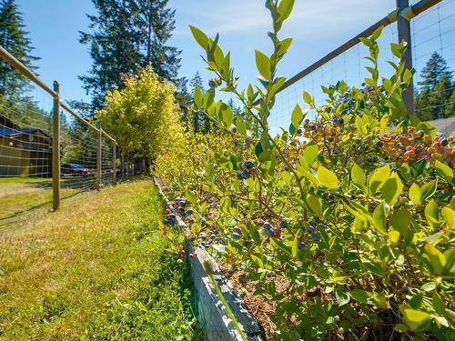 5959 Lugrin Rd, Port Alberni, BC 